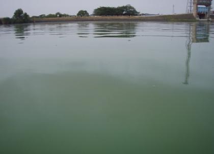 photo1