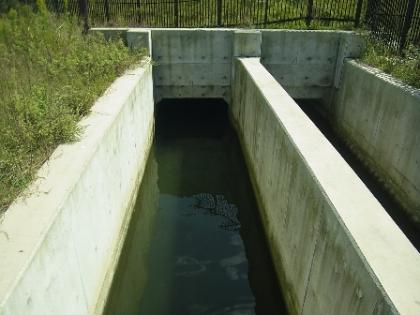 photo1