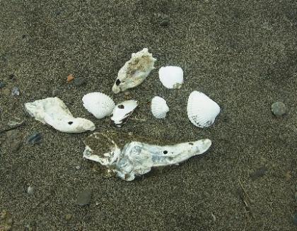photo1