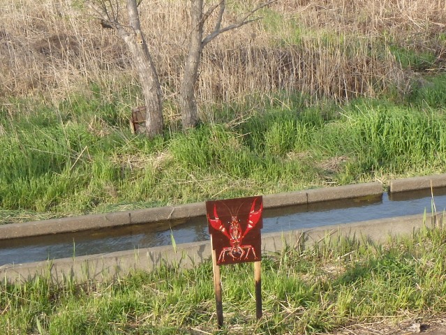 その033　それでも野に置け生き物看板