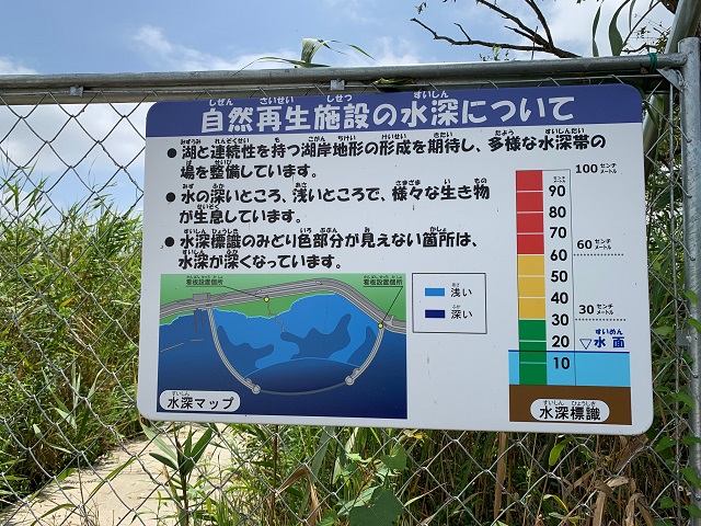 その220　自然再生協議会