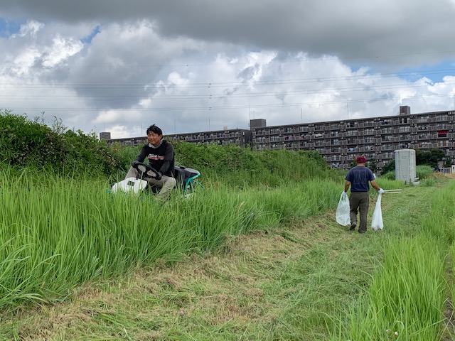 その283　土浦新港の清掃と草刈り