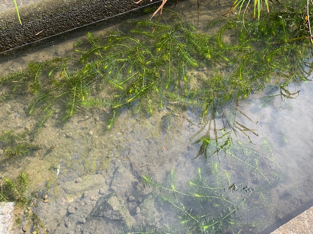 その286　浄財