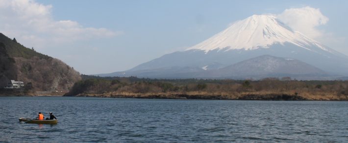 ●五月も終わり