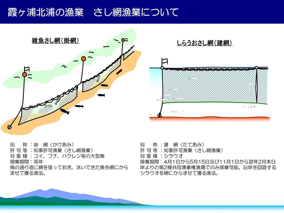 刺し網 建て網 立網 - その他